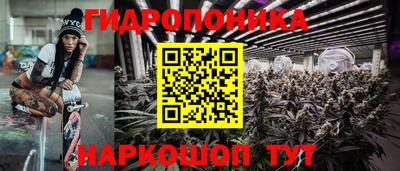 индика Кинель