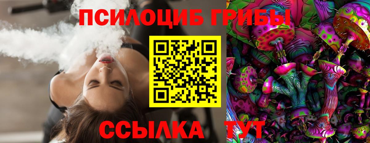 Красноармейск  Галлюциногенные грибы прущие грибы  Вход с VPN 